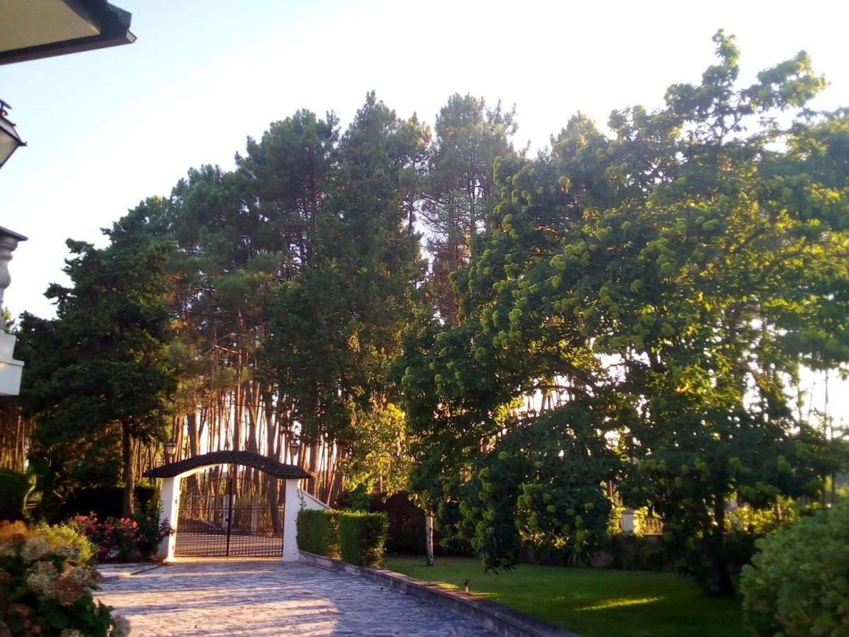 Villa Pinheirinhos - Quinta De Sao Caetano à Carapito Extérieur photo