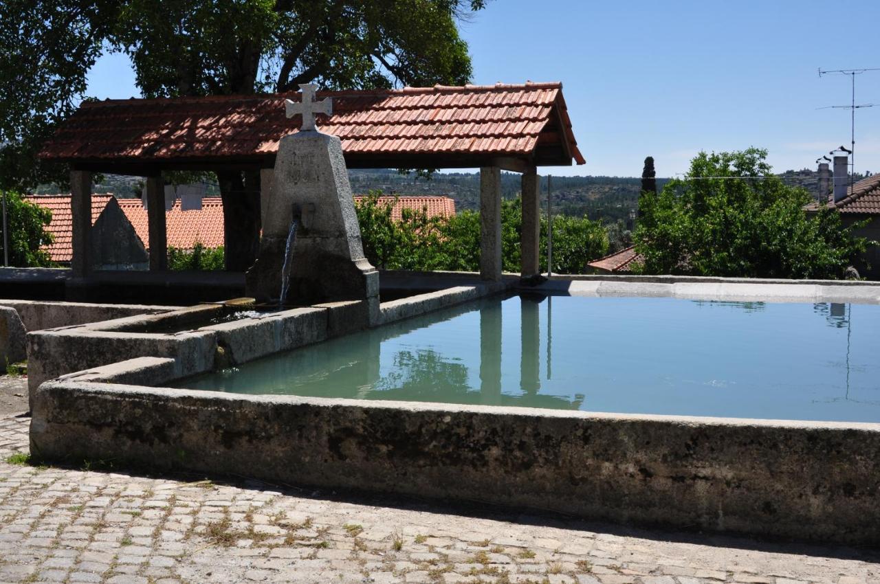 Villa Pinheirinhos - Quinta De Sao Caetano à Carapito Extérieur photo