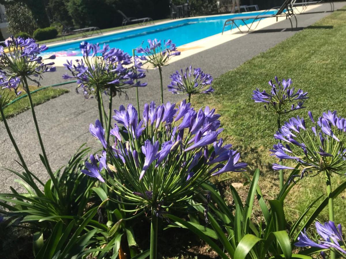 Villa Pinheirinhos - Quinta De Sao Caetano à Carapito Extérieur photo