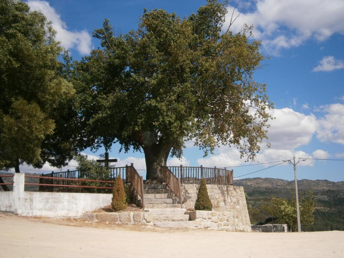 Villa Pinheirinhos - Quinta De Sao Caetano à Carapito Extérieur photo