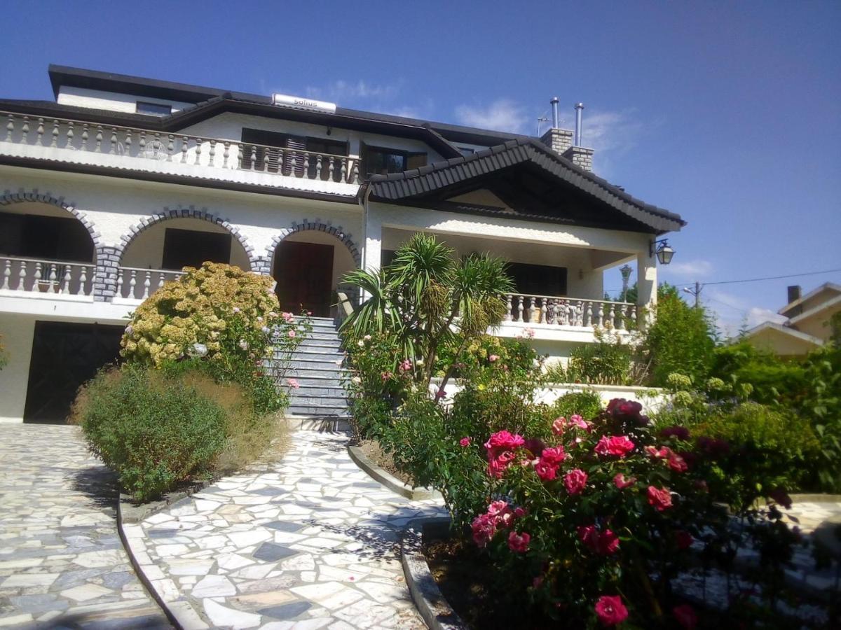 Villa Pinheirinhos - Quinta De Sao Caetano à Carapito Extérieur photo