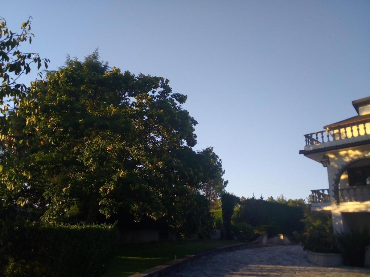 Villa Pinheirinhos - Quinta De Sao Caetano à Carapito Extérieur photo