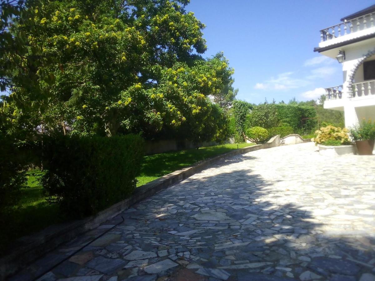 Villa Pinheirinhos - Quinta De Sao Caetano à Carapito Extérieur photo